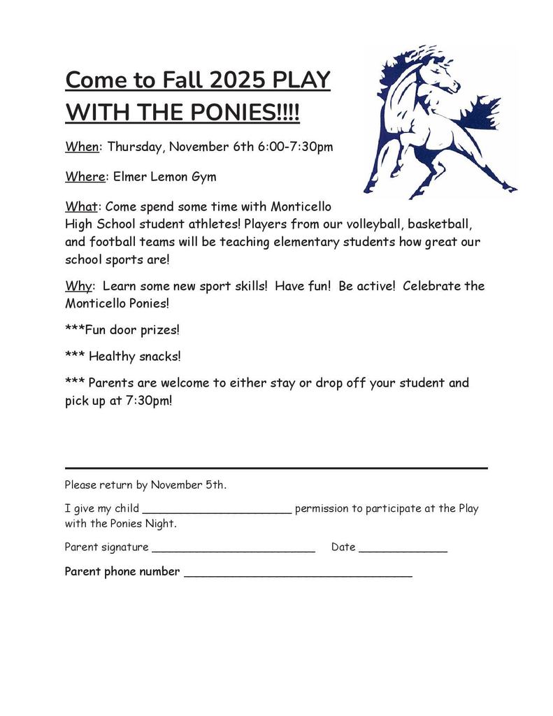 Play with the Ponies Information
