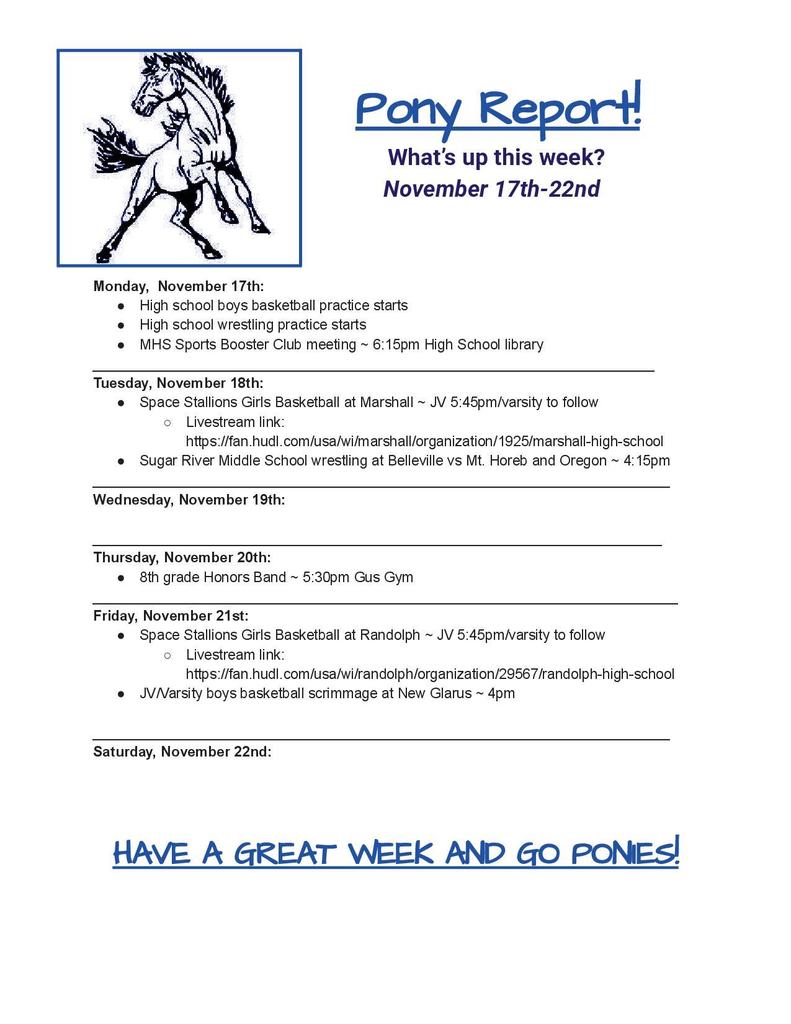 Pony Report for the week of November 17th-22nd