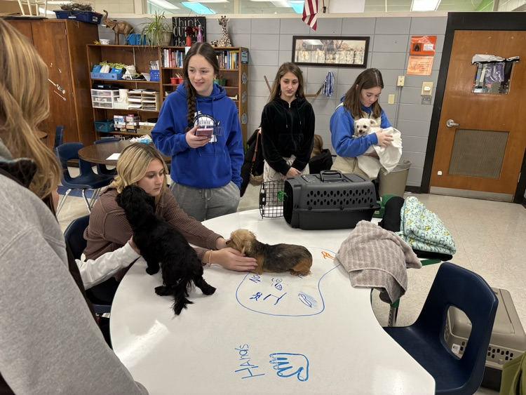 students and puppies