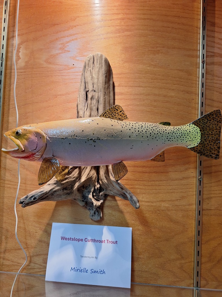 Mounted Westslope Cutthroat