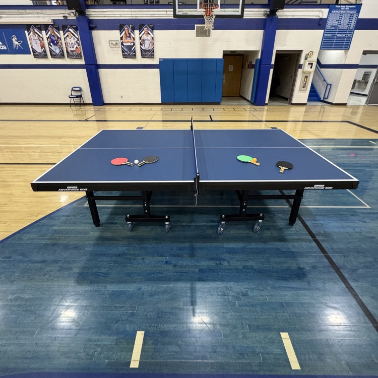 Table Tennis table