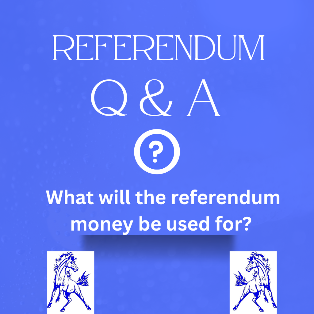 Referendum Q&A