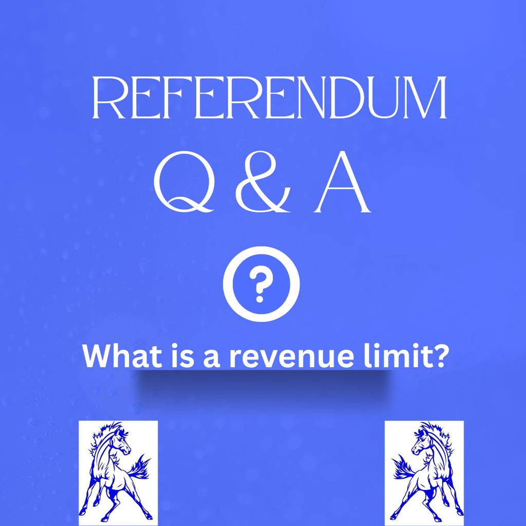 Referendum Q&A