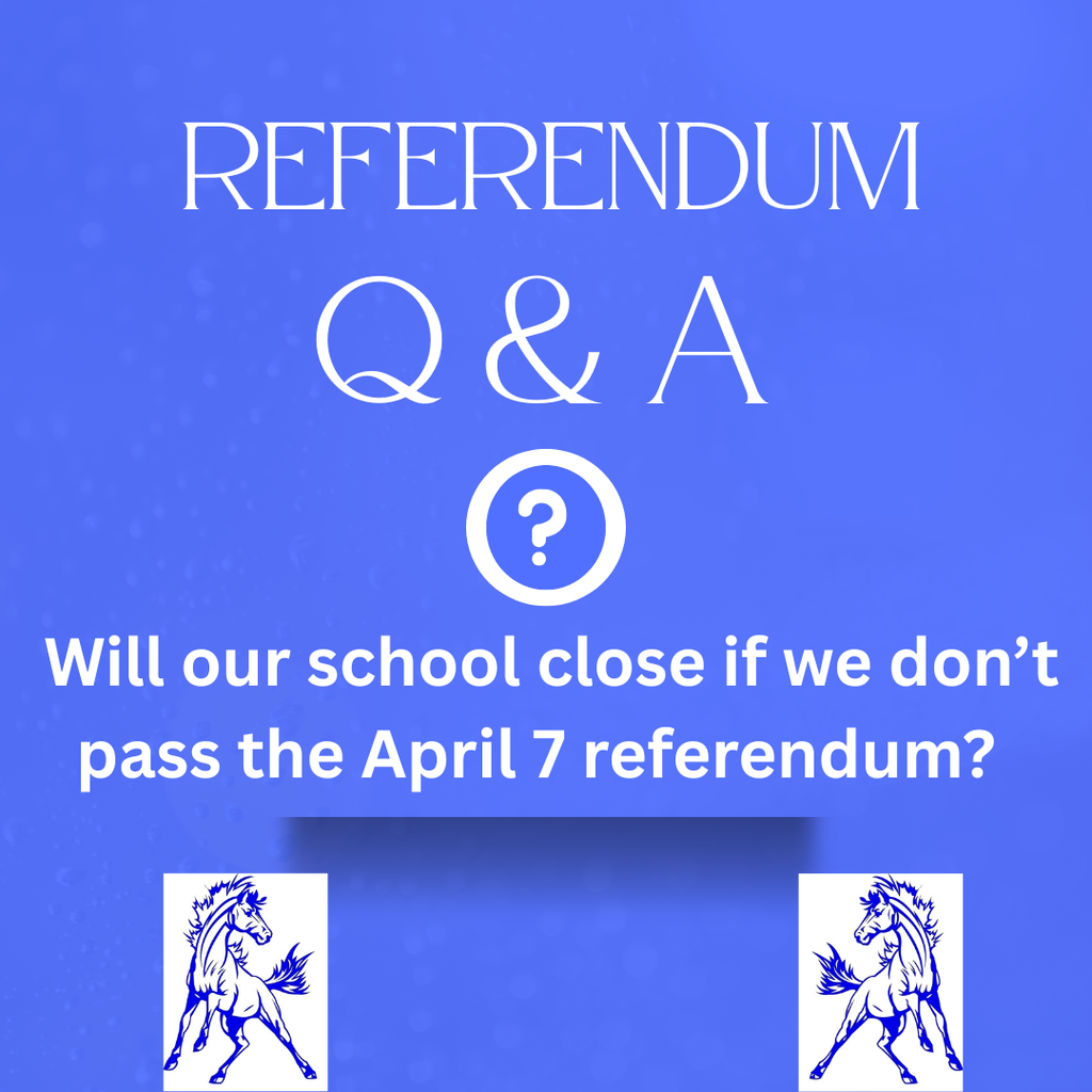 Referendum Q&A