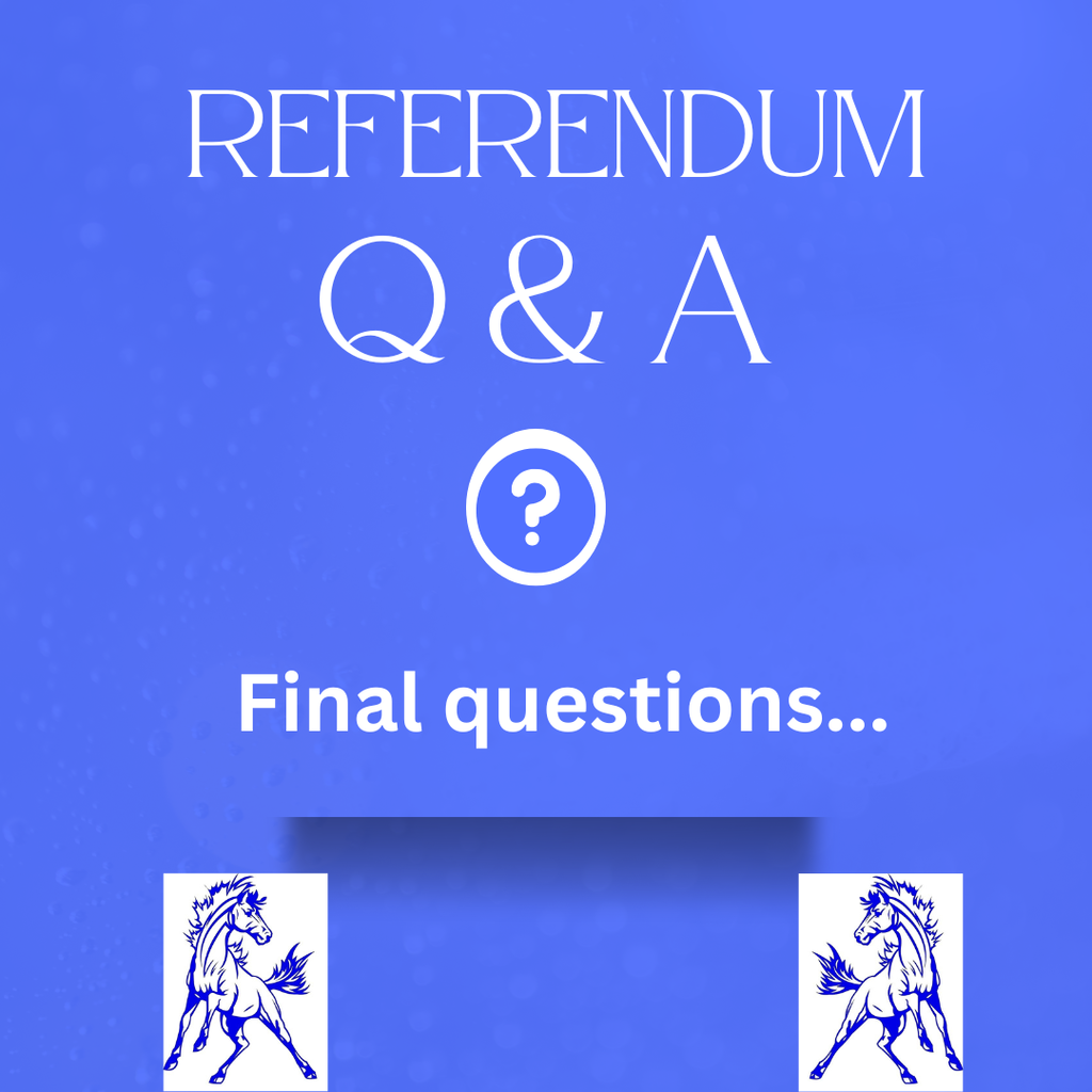 Referendum Q&A