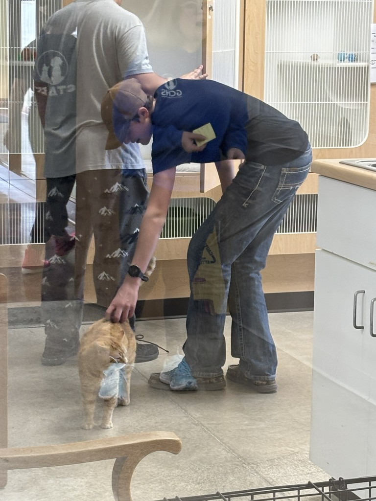 student and cat