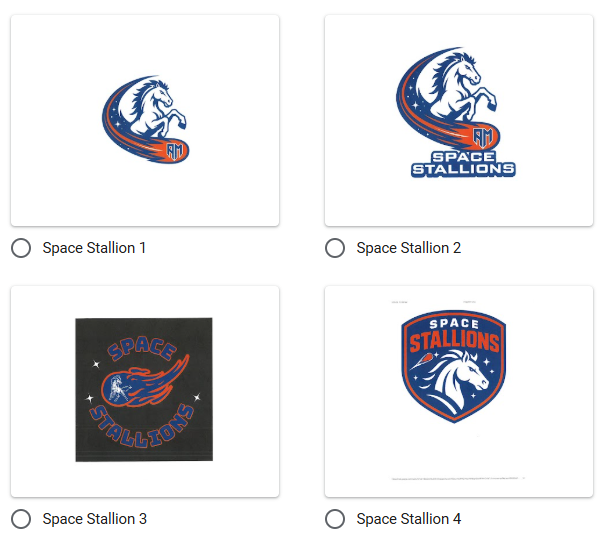 space stallions logos
