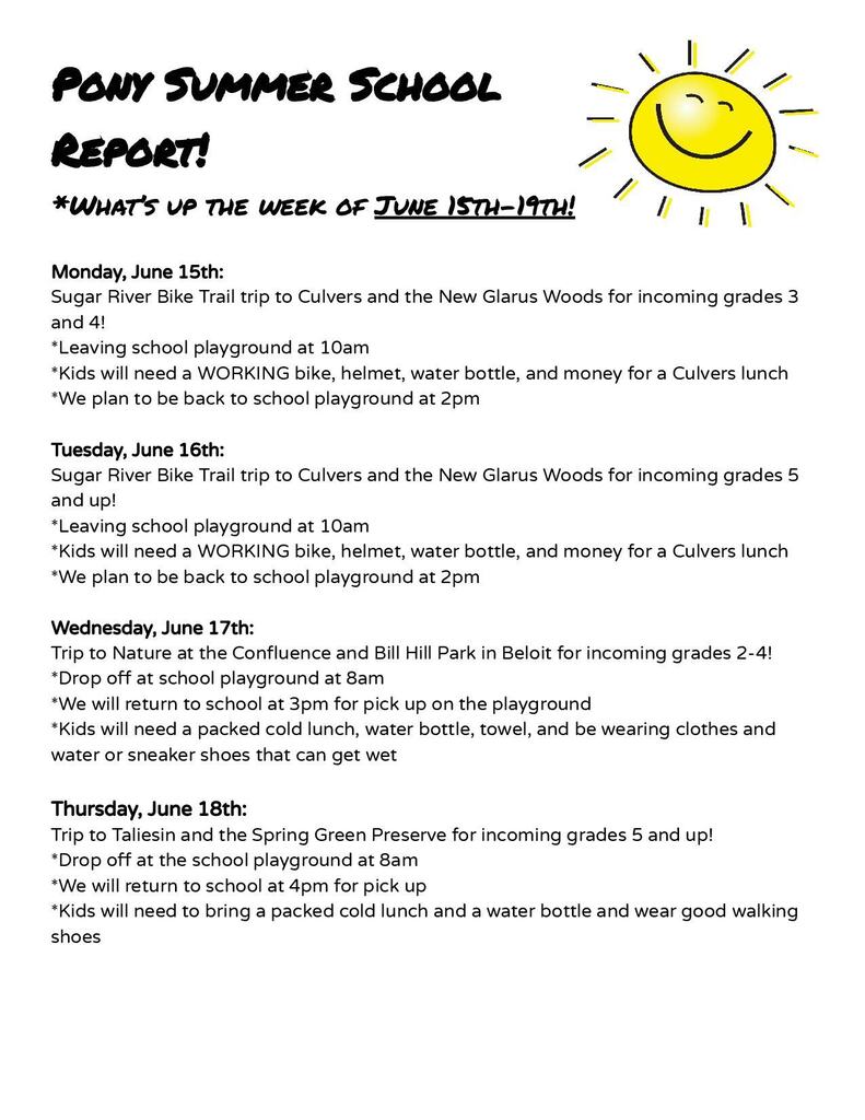 Pony Summer School Report
