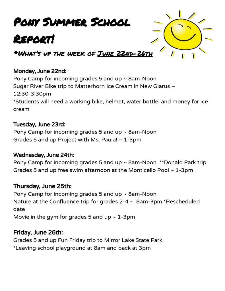 summer school report