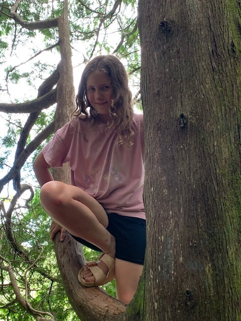 student climbing tree