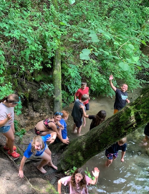 students climbing tree and playing in water
