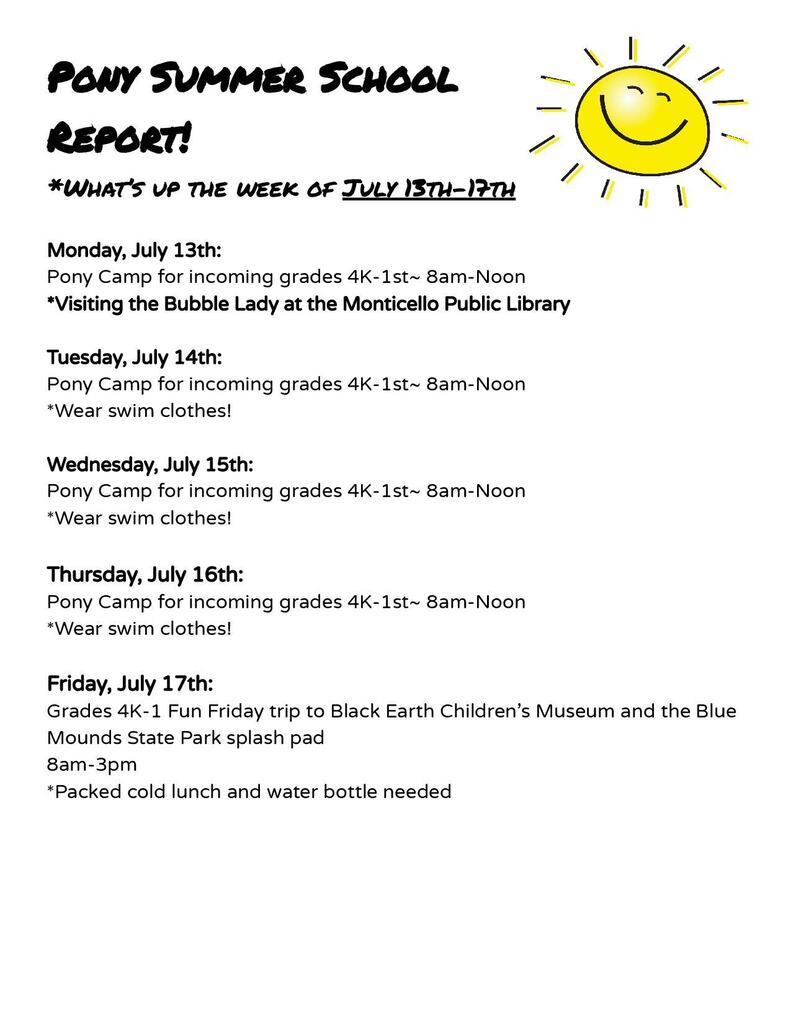 Pony Summer School Report