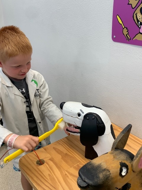 elementary student brushing toy dog teeth at Black Earth Children's Museum
