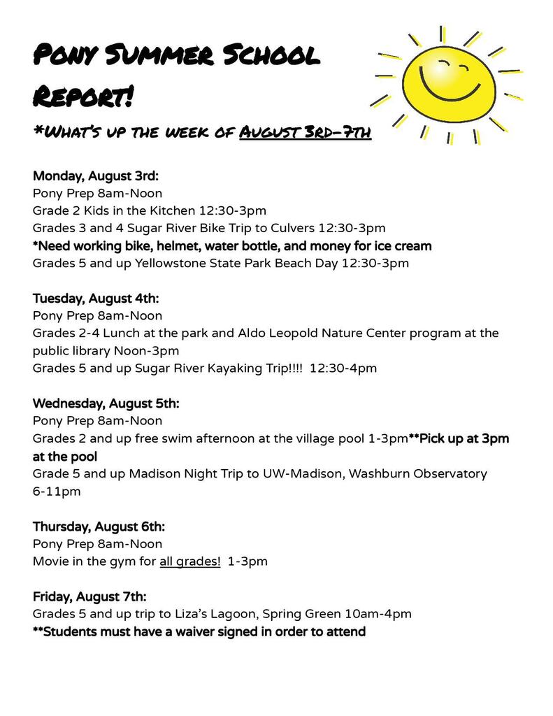 Pony Summer School Report Information with Smiley Sun