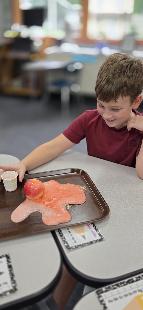student doing a science experiment