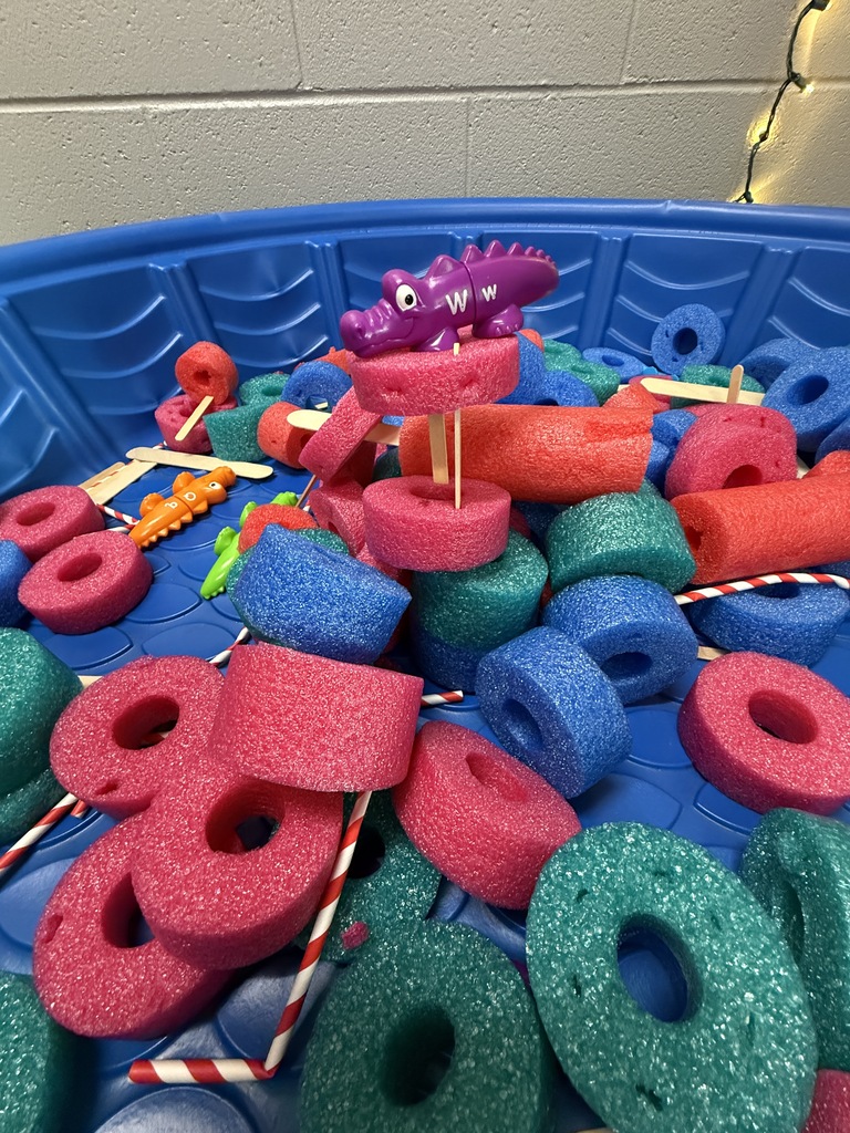 Pool noodles, craft sticks, and straws for creativity and building.