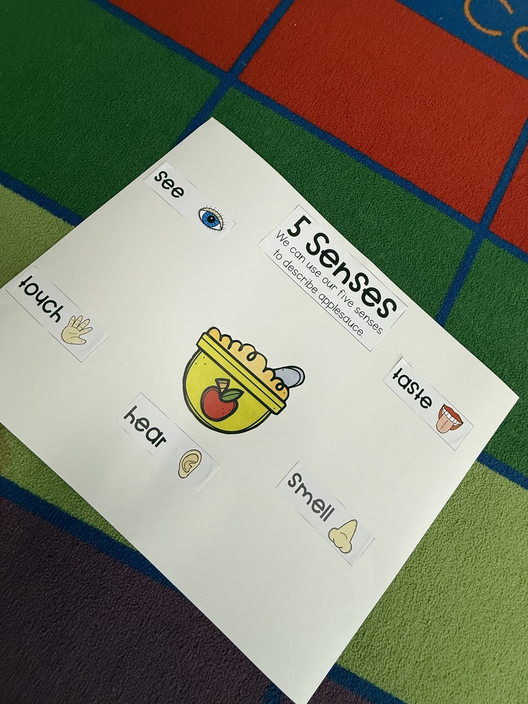Five senses poster