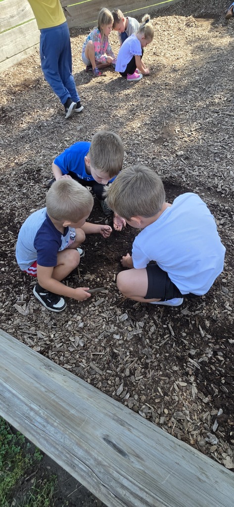 students digging for worms