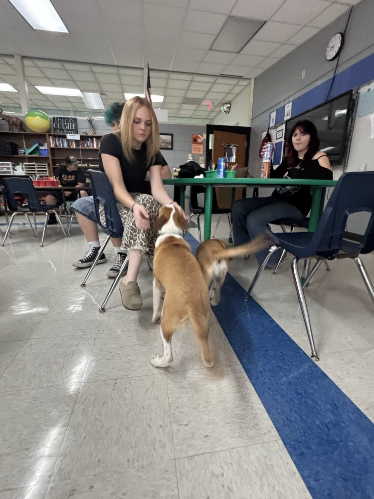 two pups and student