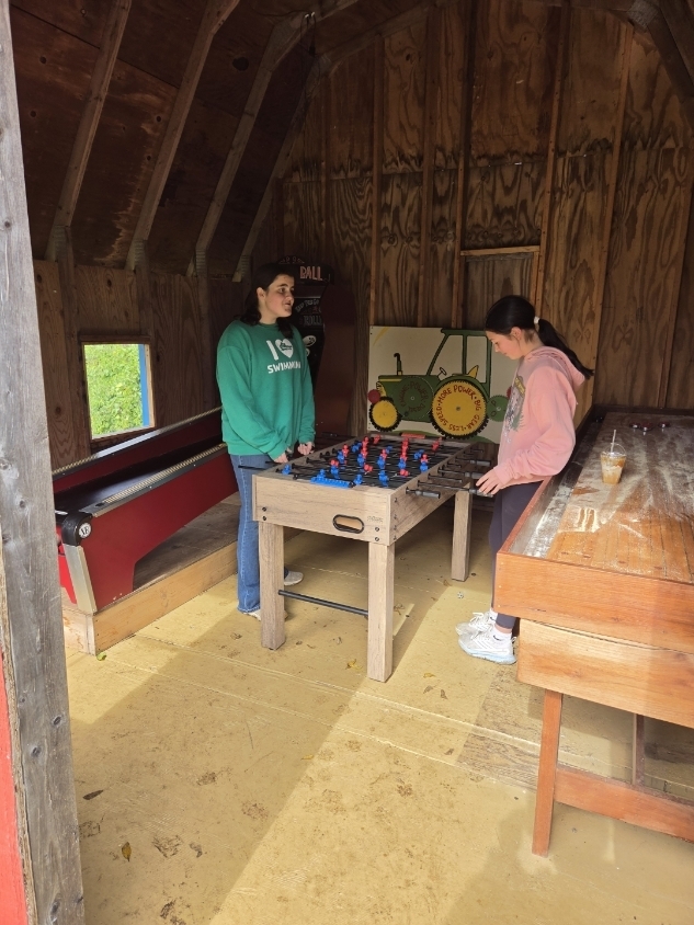 Two girls playing foosball.