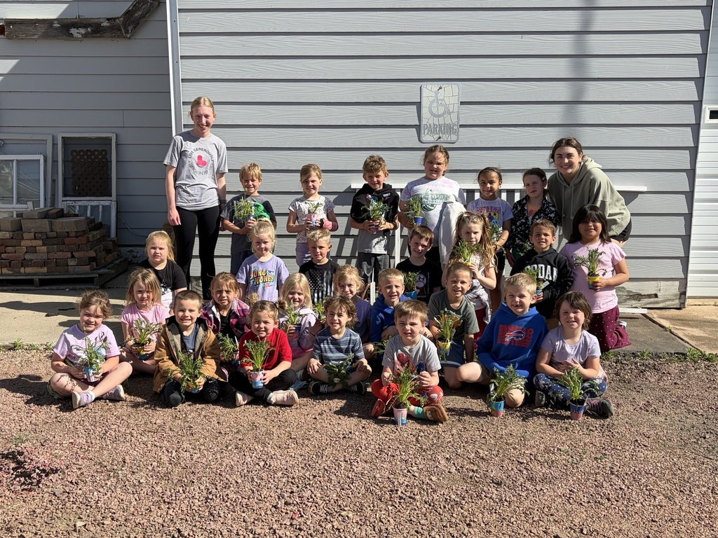 Preschool, Junior Kindergarten, and Kindergarten students learning about plants at Brickhouse Flowers. 