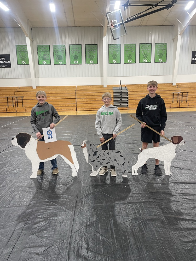 Dog Show