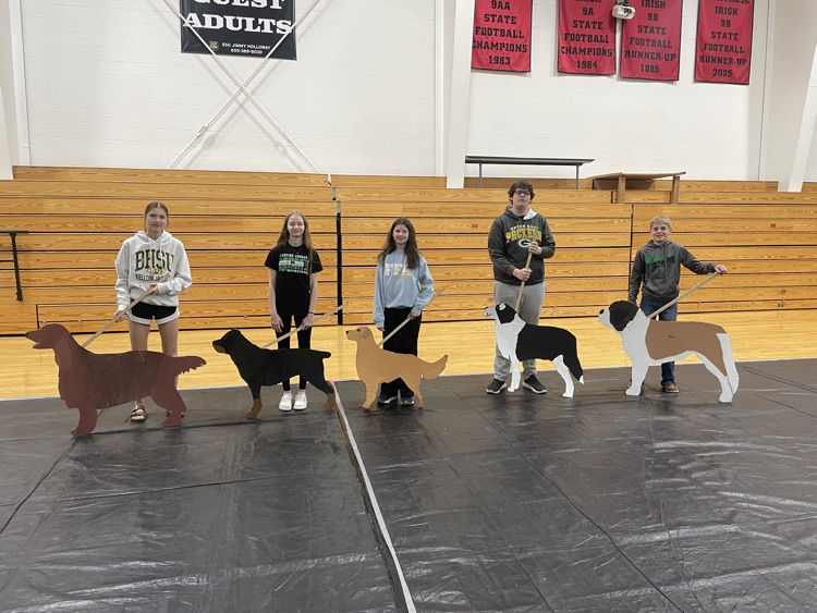 Dog Show