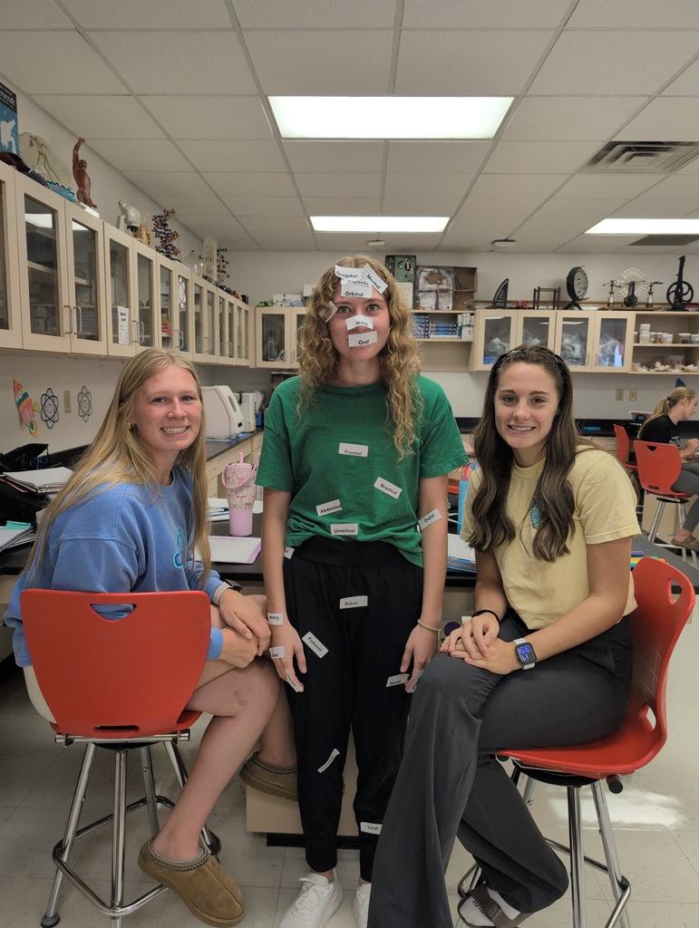anatomy learning regional terms.