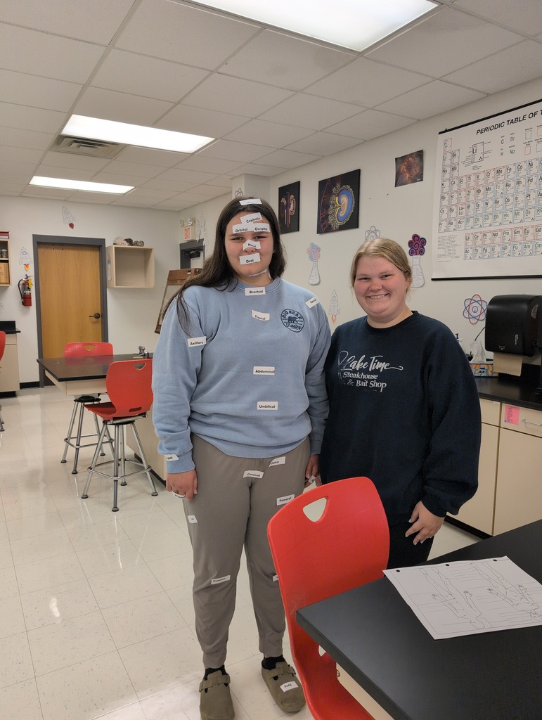 anatomy learning regional terms.