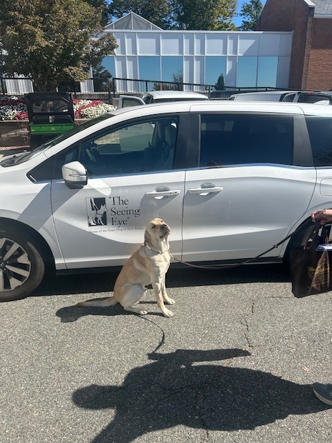 A guide dog sits calmly on a sunny day beside a white van with "The Seeing Eye" logo. The scene exudes a sense of alertness and companionship.