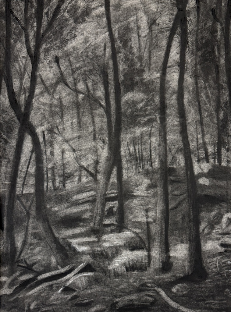 charcoal drawing of forest trees