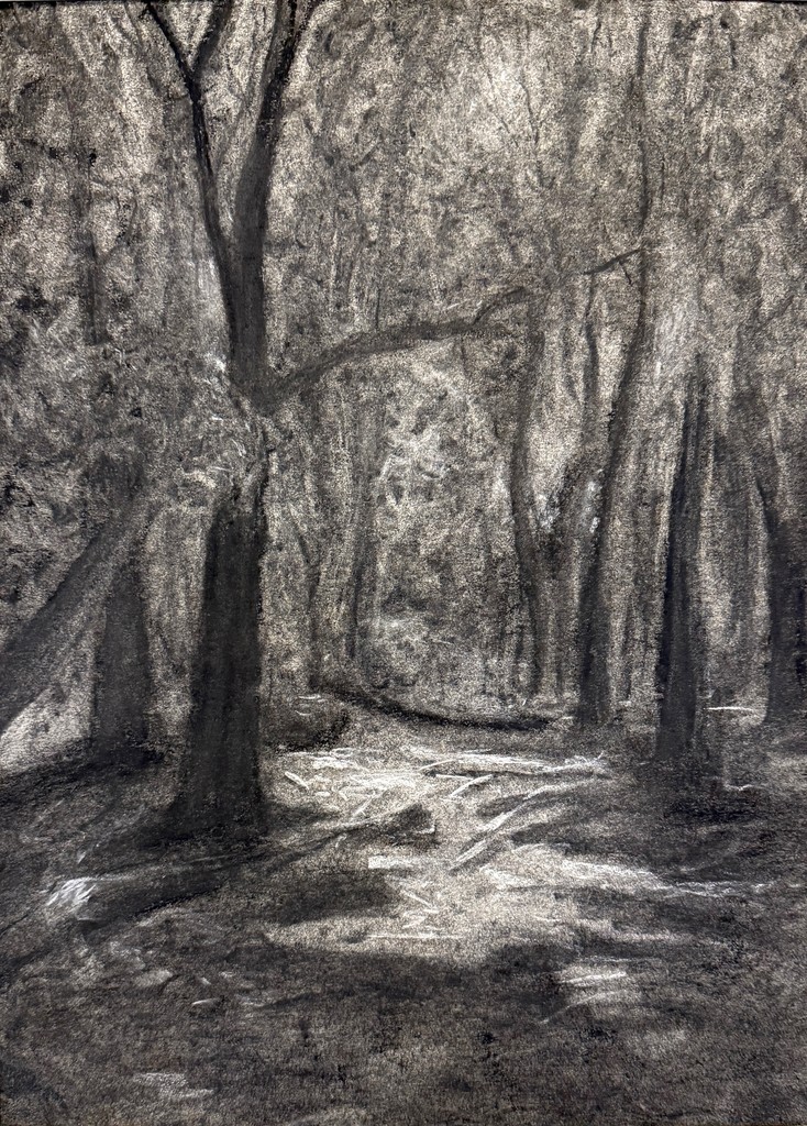 Charcoal drawing of forest trees and a path