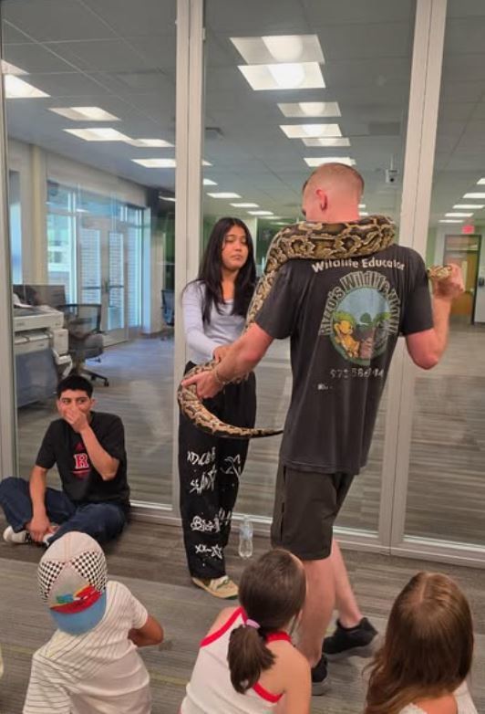 Boa Constrictor and students -- The district's Multilingual Academy kicked off the summer learning about animals! Rizzo’s Wildlife World let the students hold Ferrets & Lizards & Snakes -- Ohmy! What a GREAT  educational show! See MORE PICS: https://www.instagram.com/p/DL2bkaeM8W2/  Instagram: eslfamilyoutreach highlights this summer's Academy at #MTHS! Over 40 students in grades 1-12!