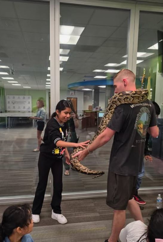 Boa Constrictor and Students -- The district's Multilingual Academy kicked off the summer learning about animals! Rizzo’s Wildlife World let the students hold Ferrets & Lizards & Snakes -- Ohmy! What a GREAT  educational show! See MORE PICS: https://www.instagram.com/p/DL2bkaeM8W2/  Instagram: eslfamilyoutreach highlights this summer's Academy at #MTHS! Over 40 students in grades 1-12!