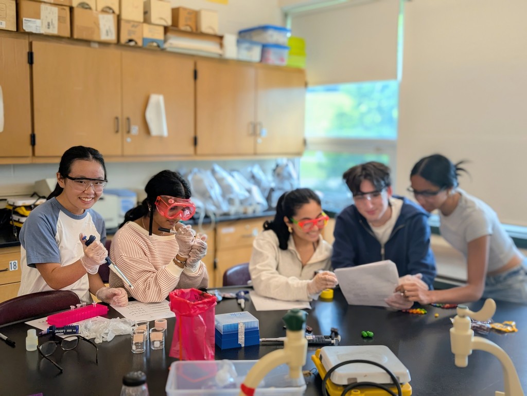 Five students sit at a black lab table wearing their saftey goggles. They are holding pipettes and extracting the colored dye from Skittles and M&M candies.