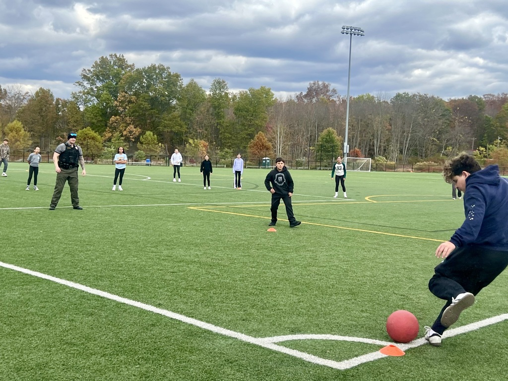 A person kicks a red ball on a green sports field. Several people, including one in uniform, watch. The scene is lively under a cloudy sky.