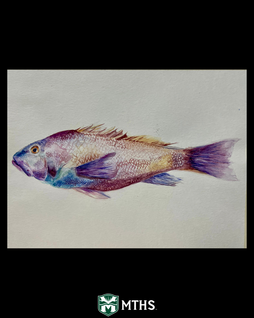 Picture of the water medium work "Untitled" by MTHS student Sydney Glickson