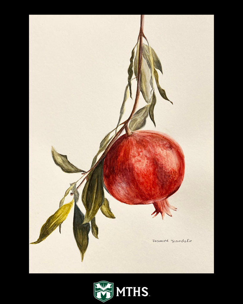 Picture of the water medium work "Pomegranate" by MTHS student Jasime Trandafir