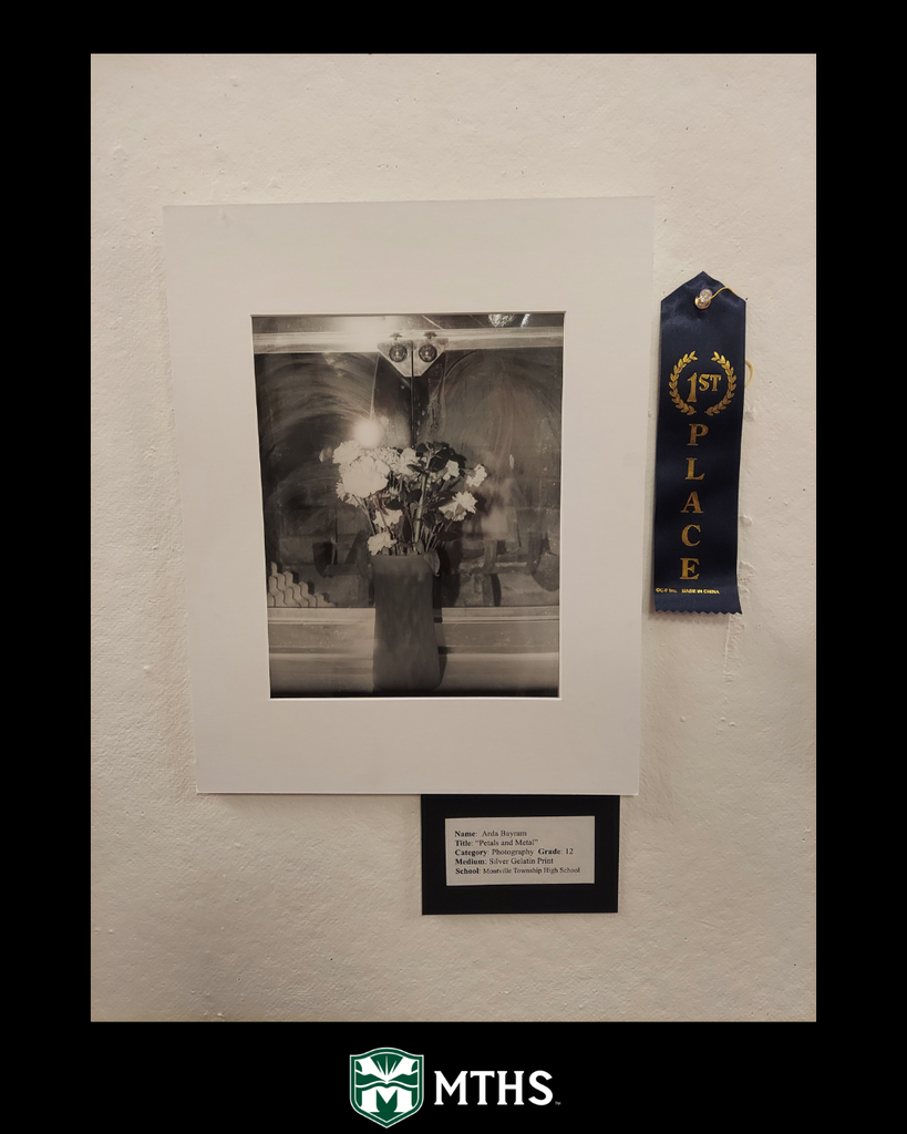 Picture of 1st place Photography submission. 