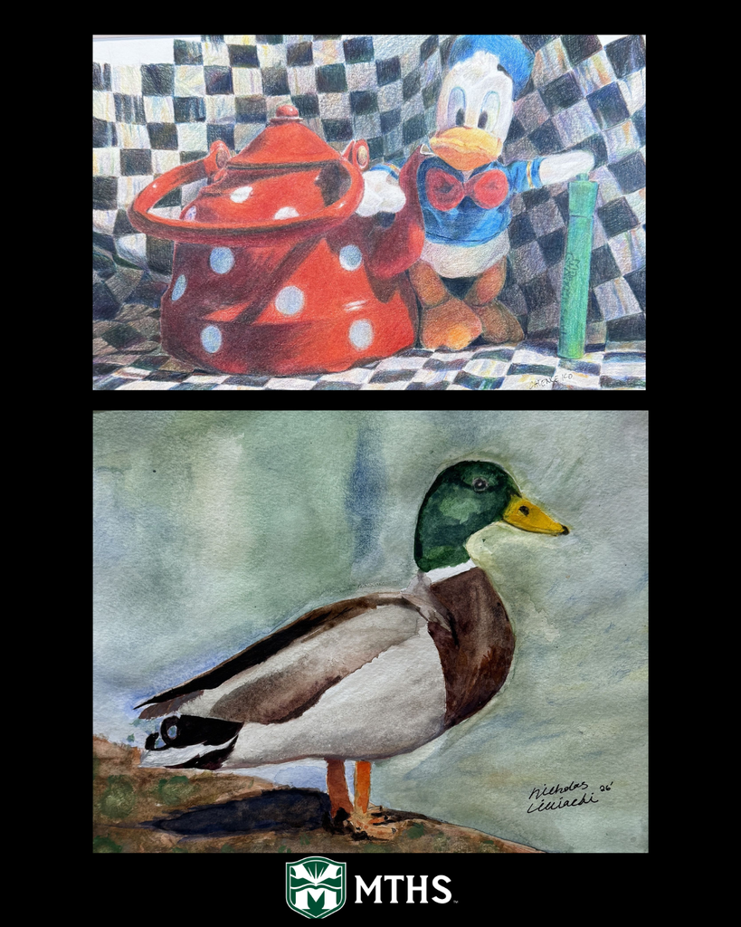 Selections from MTHS student artists for the 2nd Annual Art & Design Show at Montville Township High School (100 Horseneck Road, Montville, NJ) from 6:00-8:00pm in the Main Gymnasium.