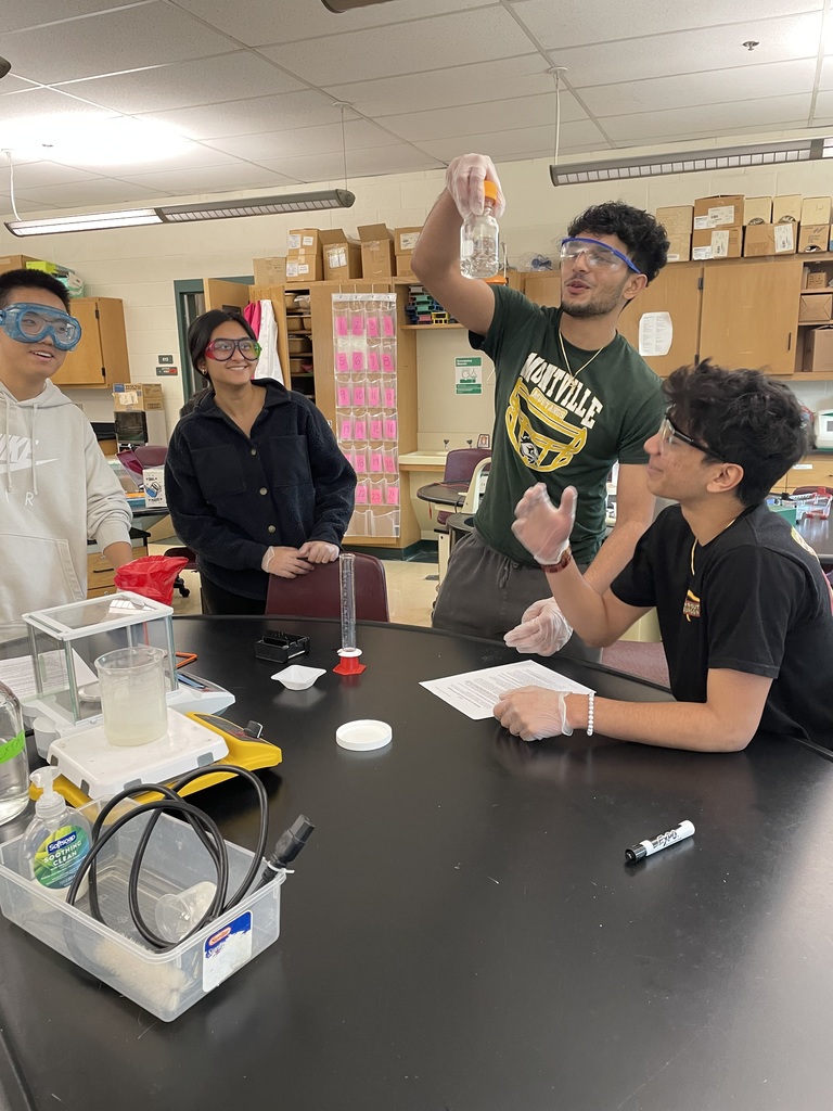 four students work together to make agarose gels for their lab