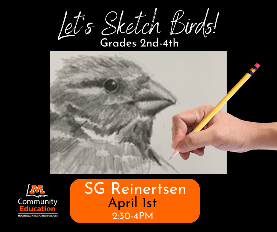 Let's Sketch Birds!