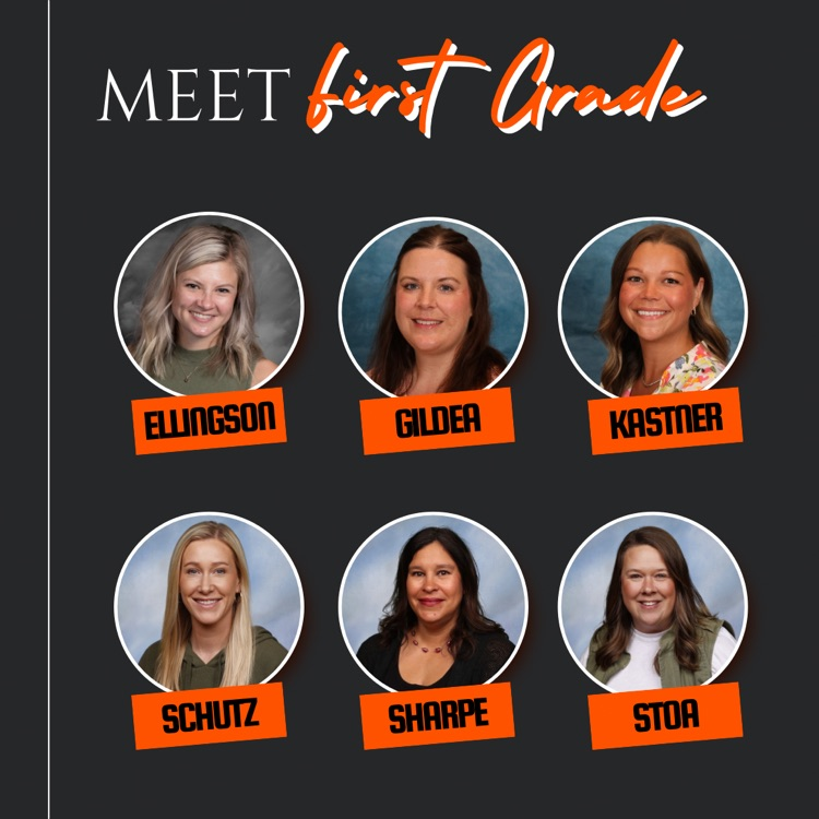 GRADE LEVEL TEAMS