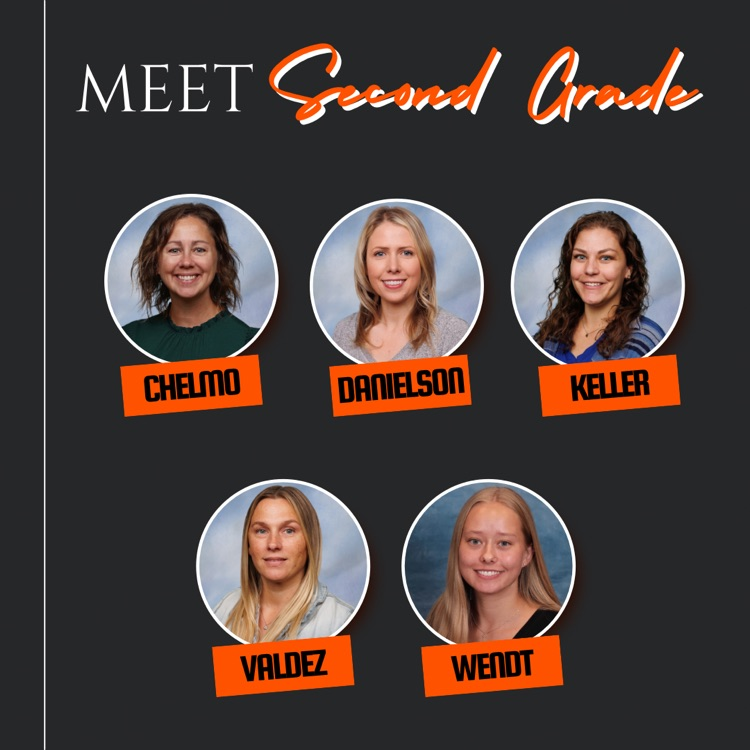 GRADE LEVEL TEAMS