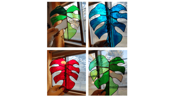 Holiday Monstera
