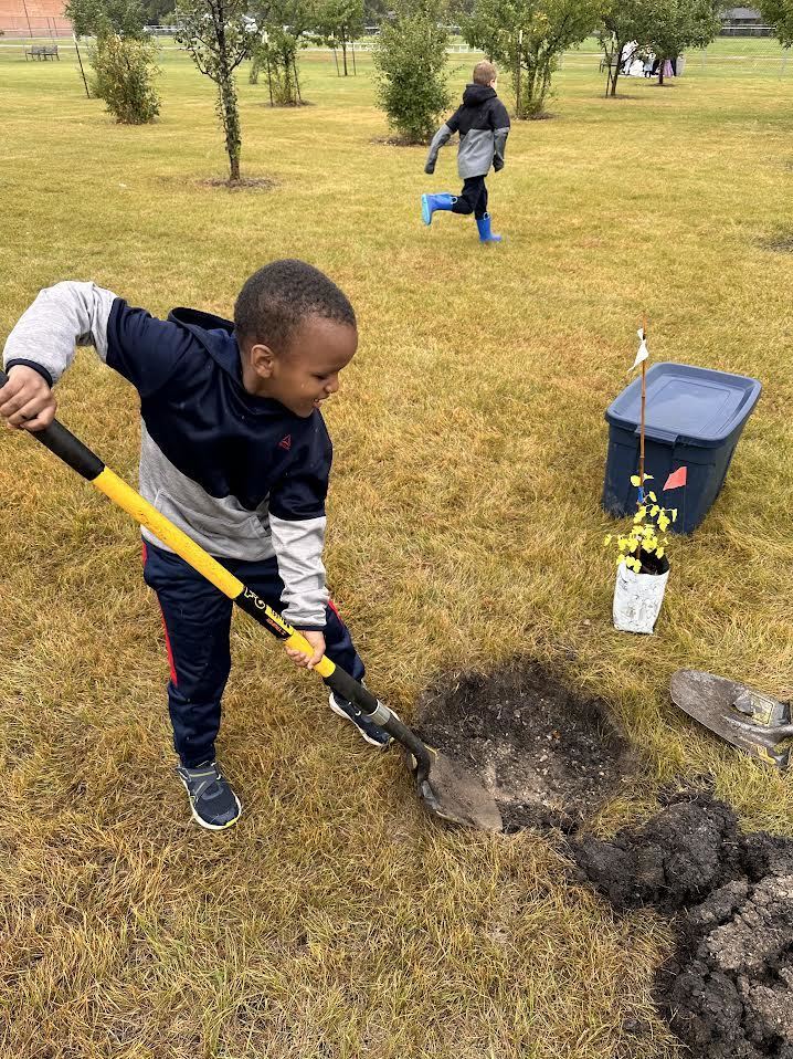 gardening activity