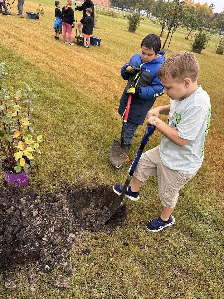 gardening activity