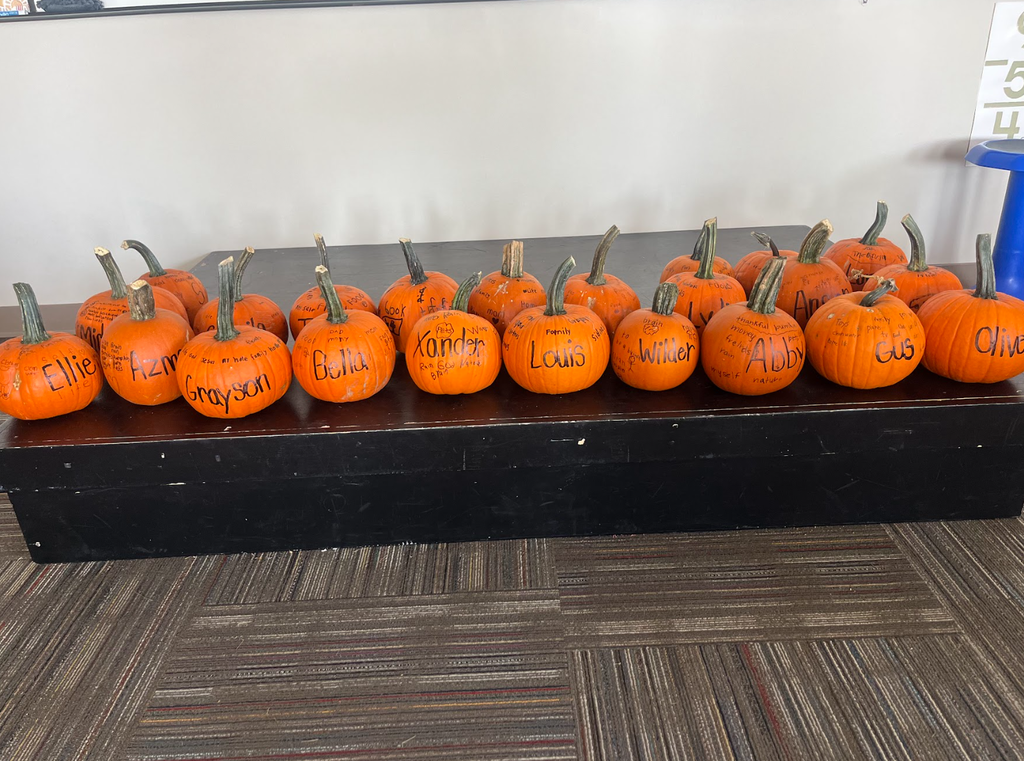 Ms. Schultz Third Grade Class Pumpkins