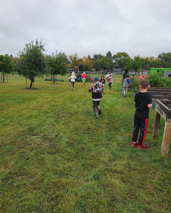 Planting Trees with Third Grade