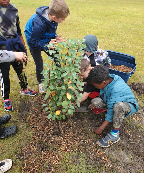 Planting Trees with Third Grade